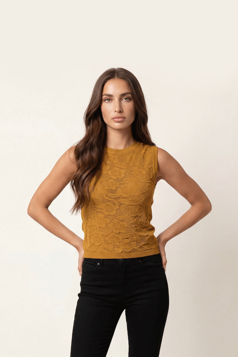 Elegant Lace Knit Top - Camel